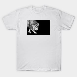 Lion bw 7/4/22 / Swiss Artwork Photography T-Shirt